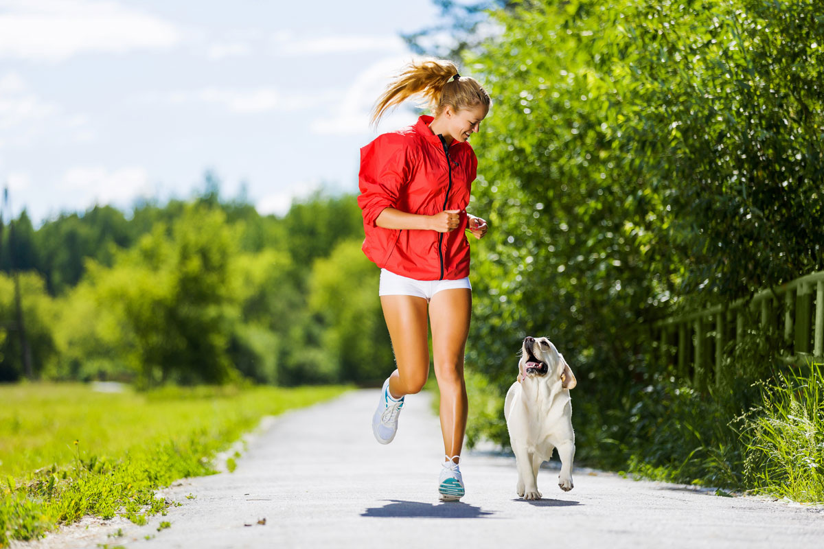 5 reasons why your dog makes the perfect workout partner - HomeoPet