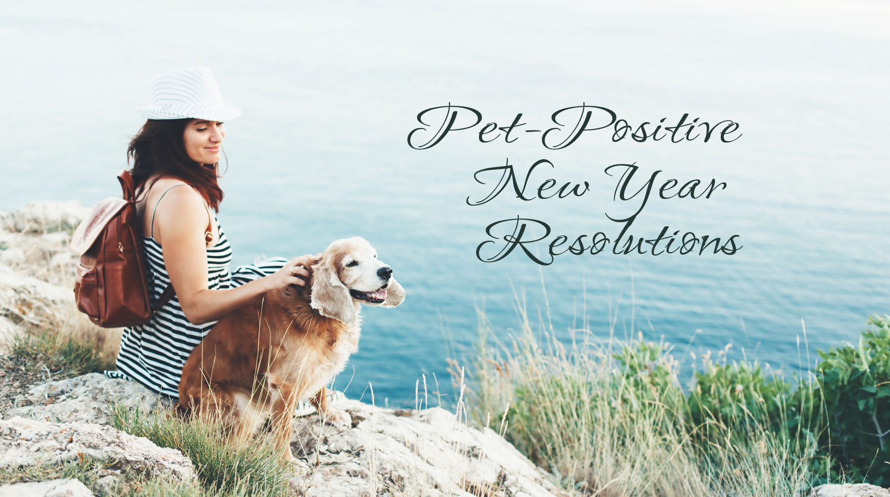 12 Pet-Positive New Year's Resolutions for 2023 - HomeoPet