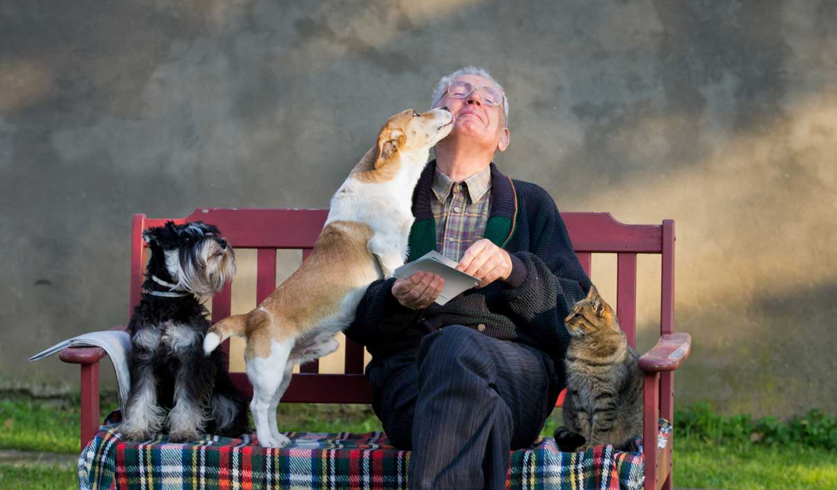 3 Reasons Why A Pet Is The Perfect Gift for Seniors HomeoPet