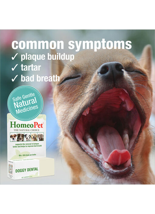 DOGGY DENTAL - Image 4