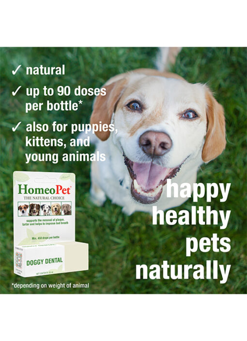 DOGGY DENTAL - Image 5