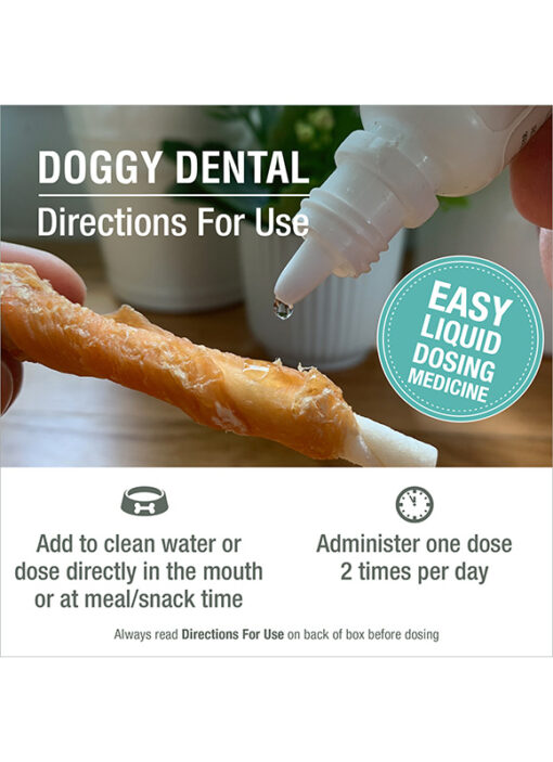 DOGGY DENTAL - Image 6