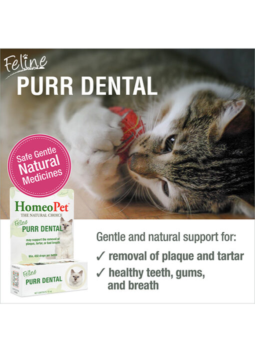FELINE PURR DENTAL - Image 3