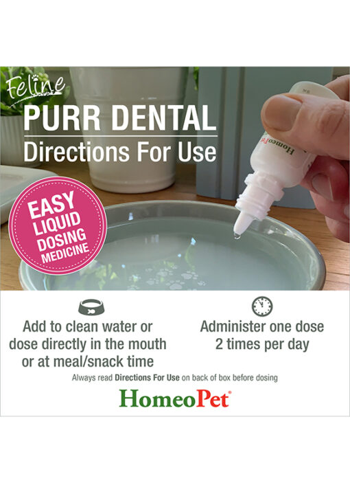 FELINE PURR DENTAL - Image 6