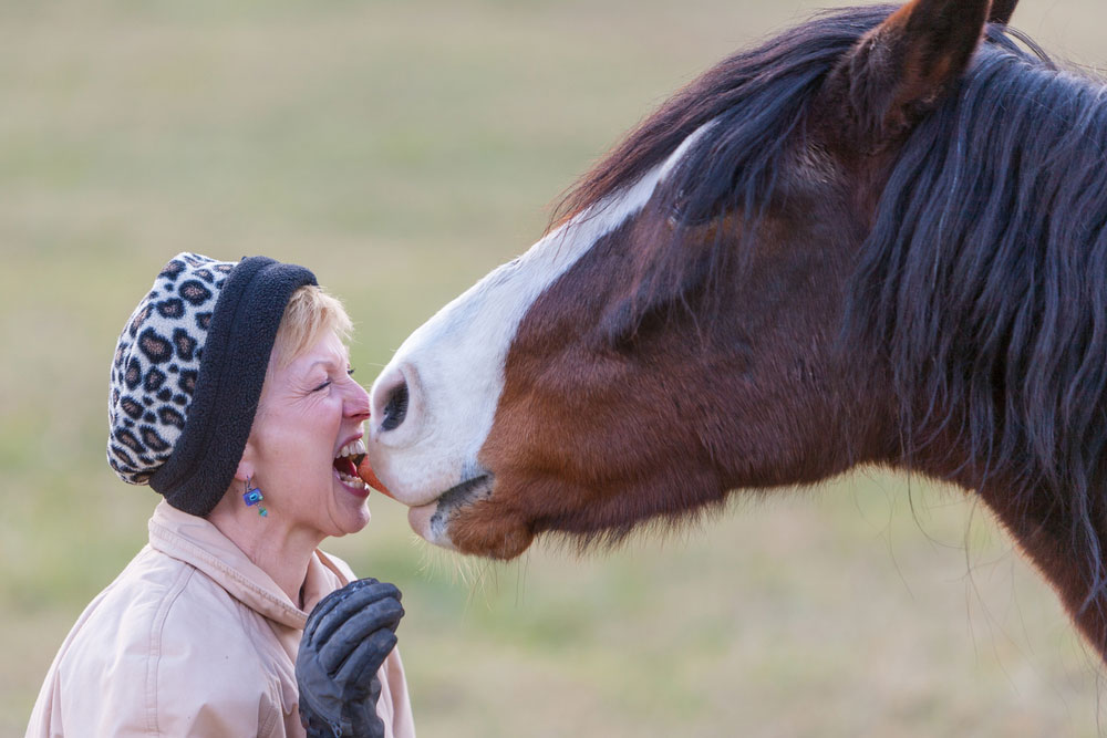 horse-kiss