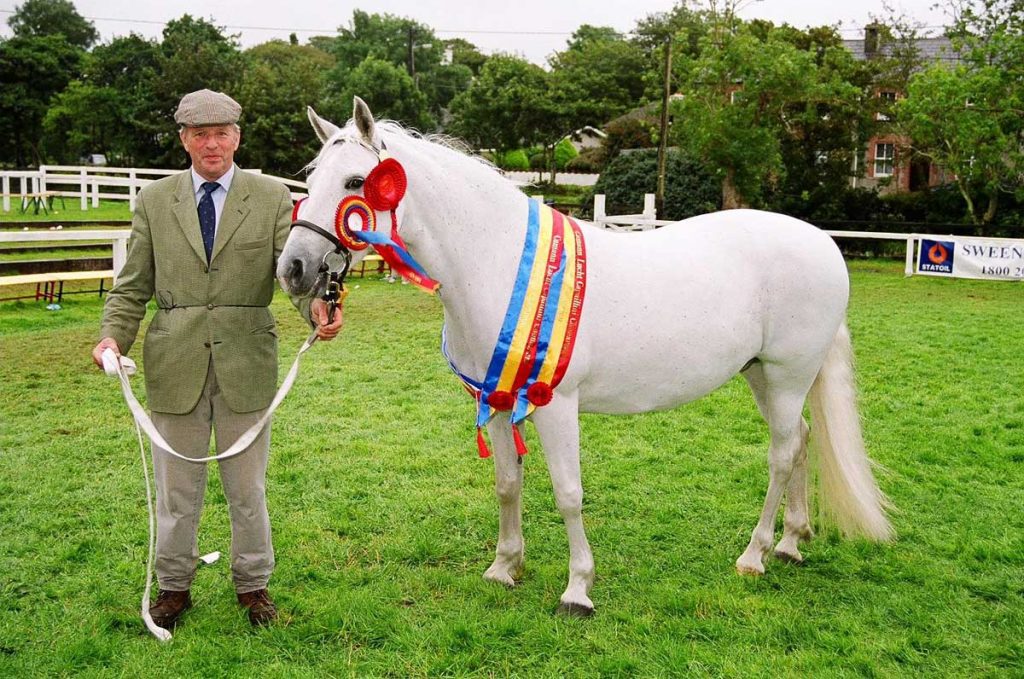 2004-Clifden-Supreme-Champion-Connemara-Pony