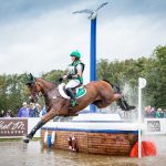 Horseware-Stellor-Rebound-(ISH)-at-World-Equestrian-Games