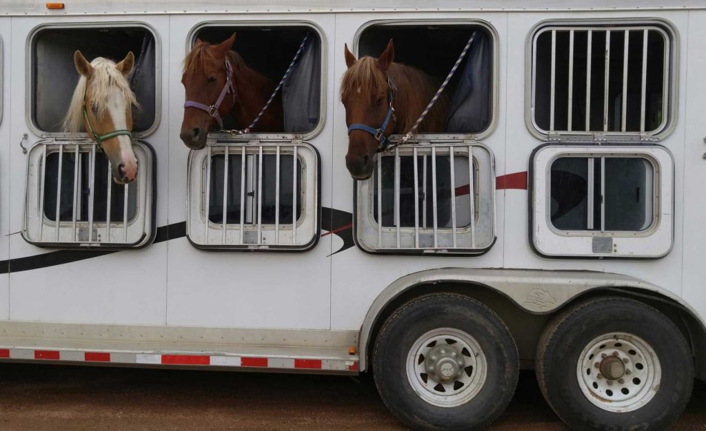 travelling-horses
