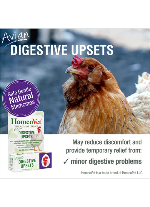AVIAN DIGESTIVE UPSETS - Image 3