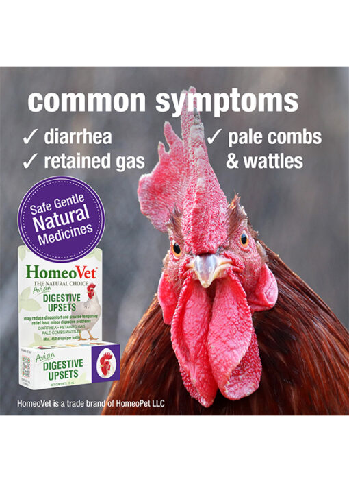 AVIAN DIGESTIVE UPSETS - Image 4