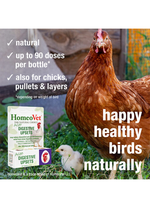 AVIAN DIGESTIVE UPSETS - Image 5