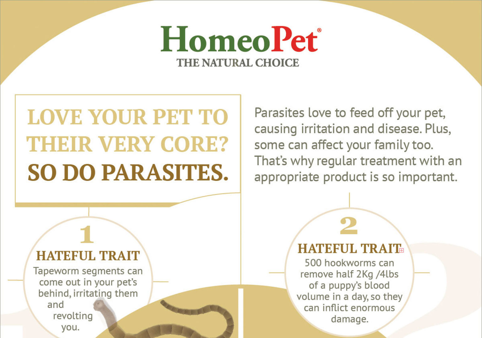 Worming Infographic HomeoPet
