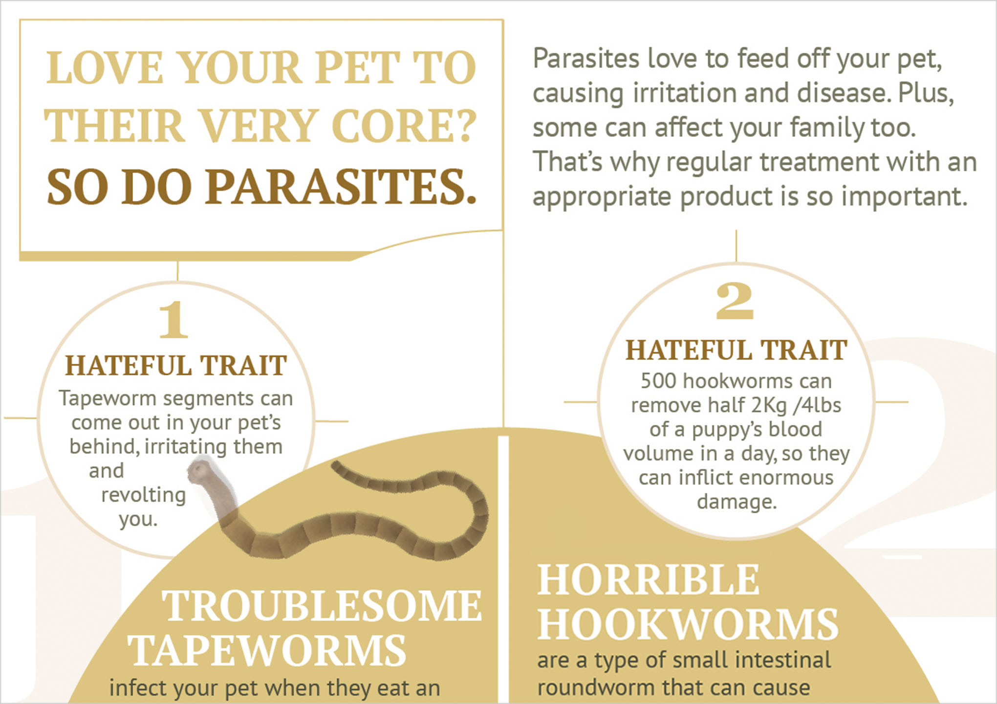 Worming Infographic HomeoPet