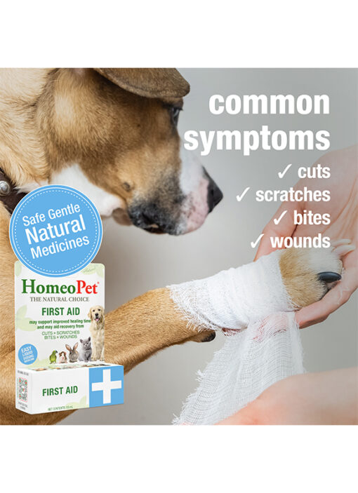 FIRST AID - Image 4