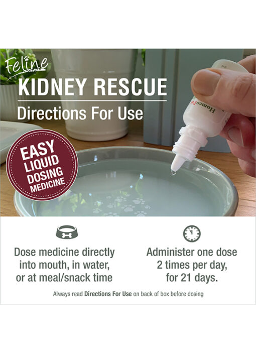 FELINE KIDNEY RESCUE - Image 6