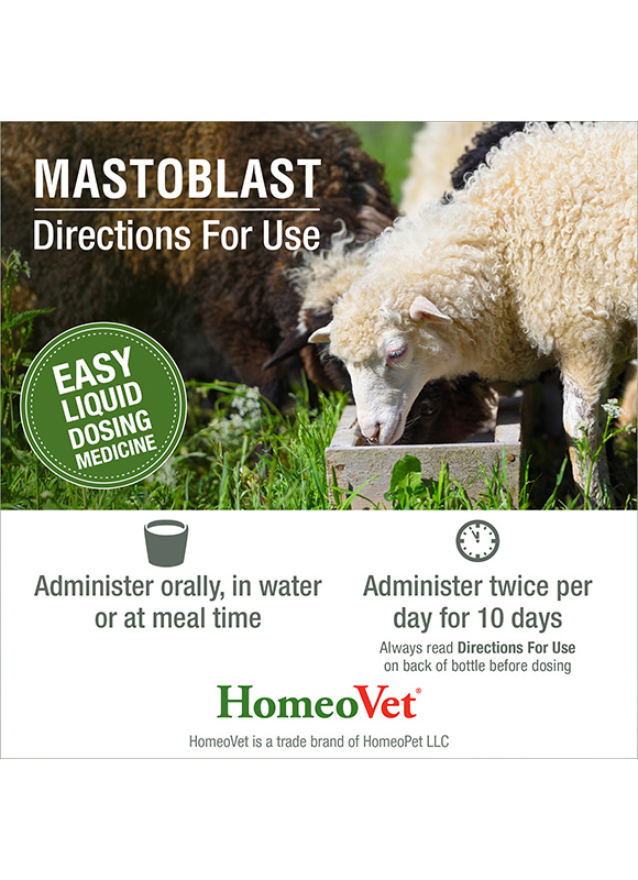 Mastoblast - Image 5