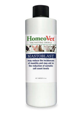 Mastoblast
