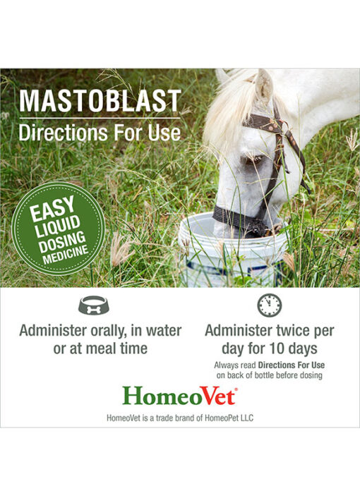 Mastoblast - Image 5