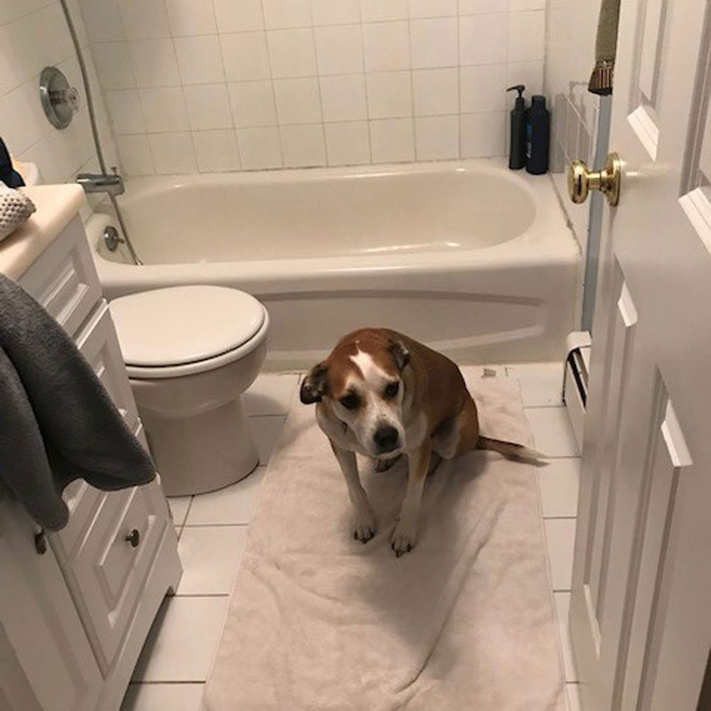 Yadi-bath-time
