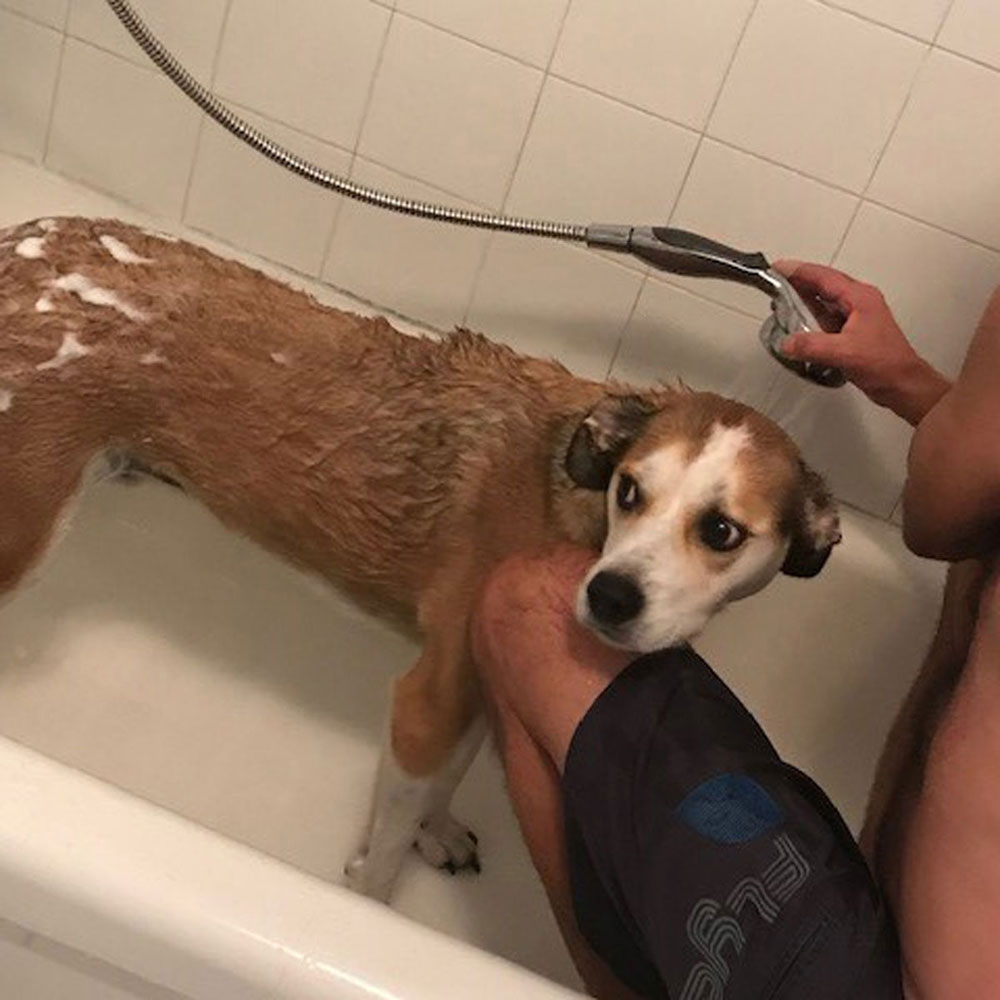 Yadi-bath-time